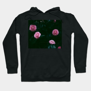 Alexandria blooming Hoodie